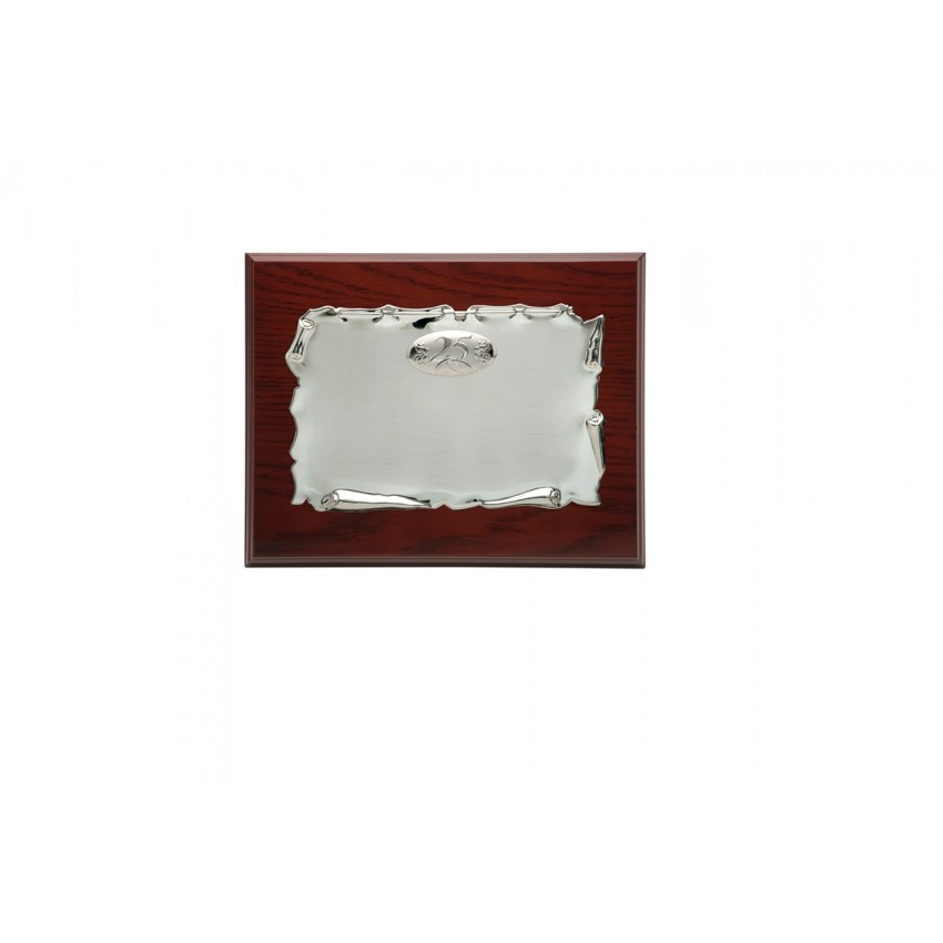 PLACA  23X19 Y CHAPA 16X12 METAL P.ALIANZAS