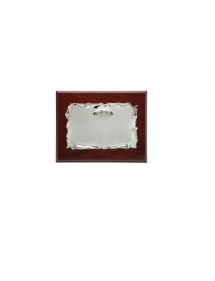 PLACA  23X19 Y CHAPA 16X12 METAL P.ALIANZAS