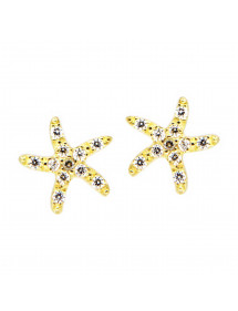 PENDIENTES ESTRELLA MAR