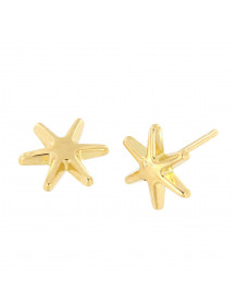 PENDIENTES ESTRELLA