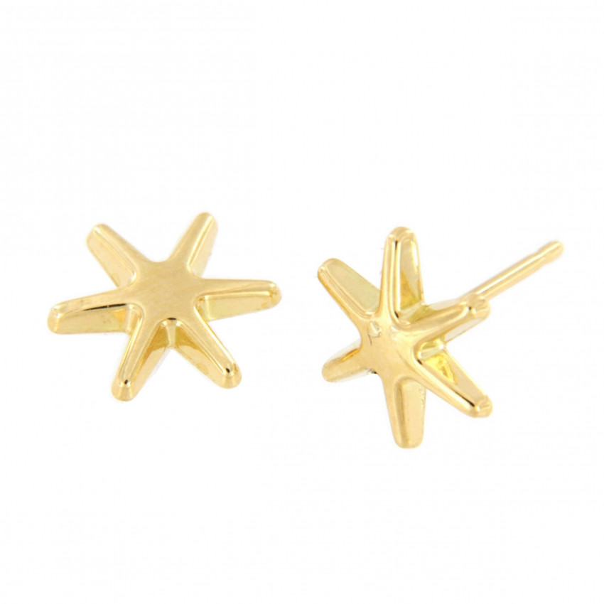 PENDIENTES ESTRELLA