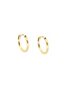 PENDIENTES ARO