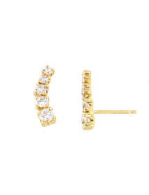 PENDIENTES TREPADOR