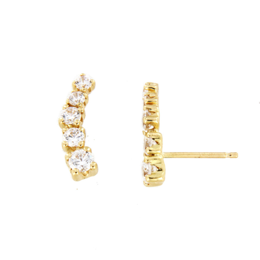 PENDIENTES TREPADOR